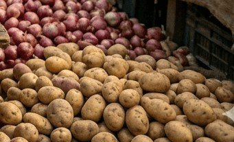 Potato Onion